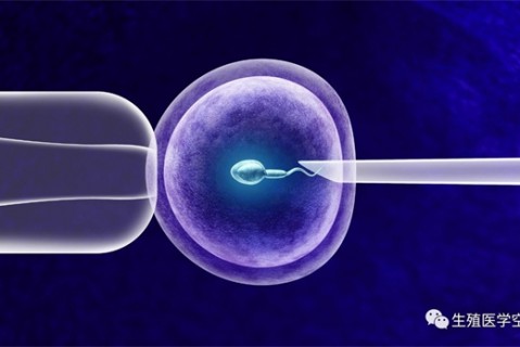 女人台州代生孩子的最佳年龄段 一辈子生几个孩子最好